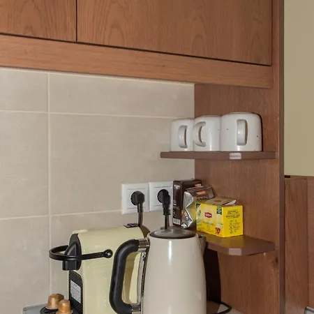 公寓 Downtown Apartment/anavros *